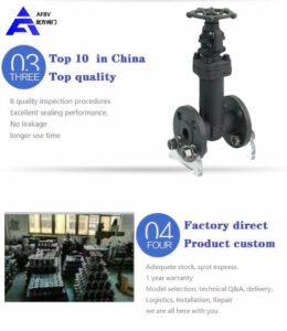 forged steel bellow seal globe valve