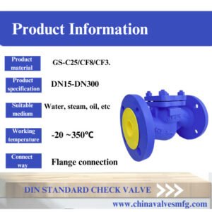 din standard check valves
